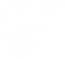 footer-shape1