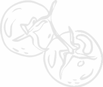 shape12